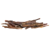 Kamelenpens