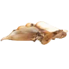 Runderoren